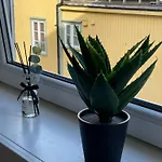 Naer Alle Opplevelser Apartmán Tromsø