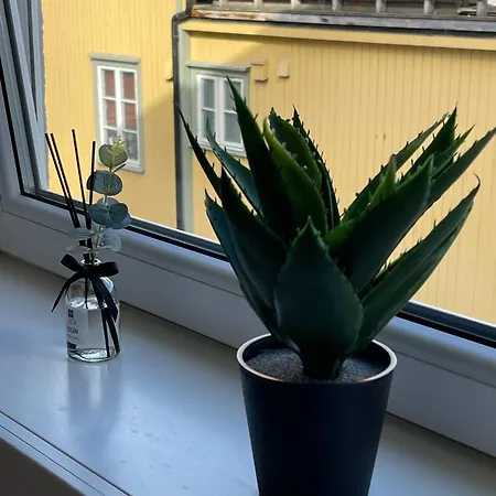 Naer Alle Opplevelser 公寓 特罗姆瑟